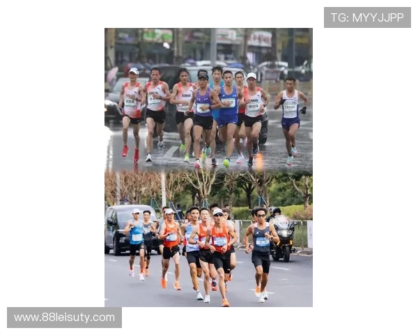 2026长跑比赛：挑战极限，展现青春活力的盛会
